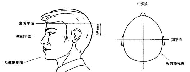头部平面示意图